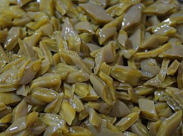 Esto es lo que sucede si comes nopal crudo en ayunas