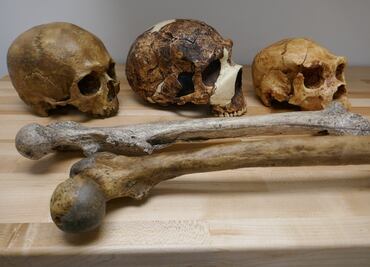 El clima ha influenciado en la estatura promedio de las poblaciones como parte de su evolución