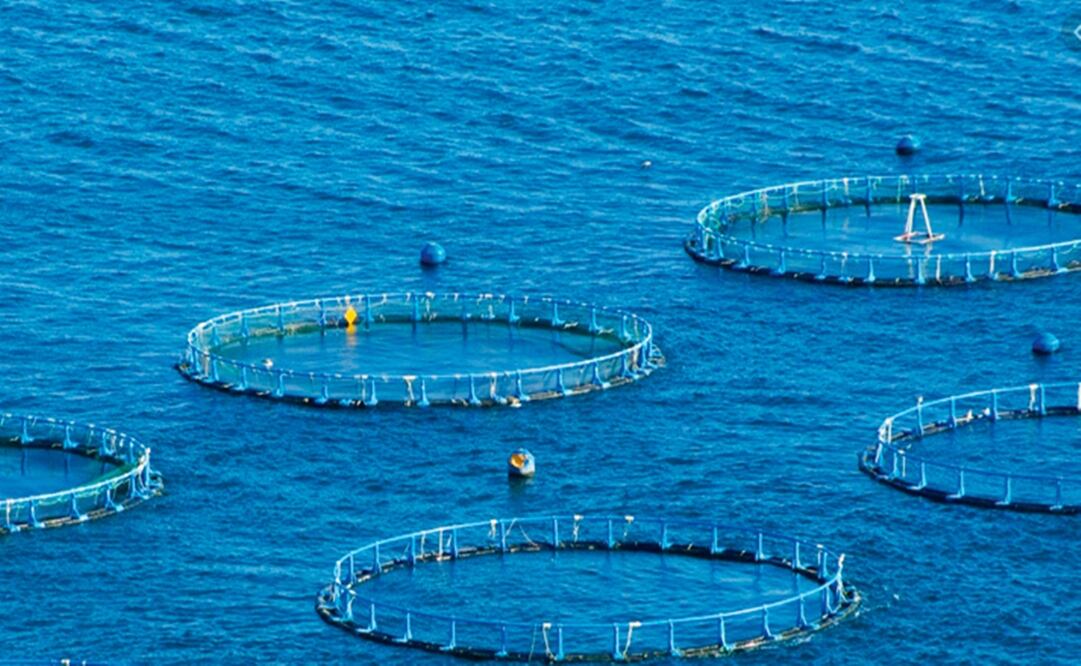 Foto: tomada de Segob