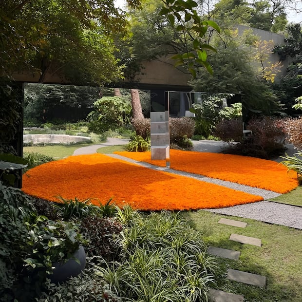 Distintas sedes serán intervenidas por arquitectos para presentar ofrendas durante Open House CDMX. Foto: Facebook Open House CDMX
