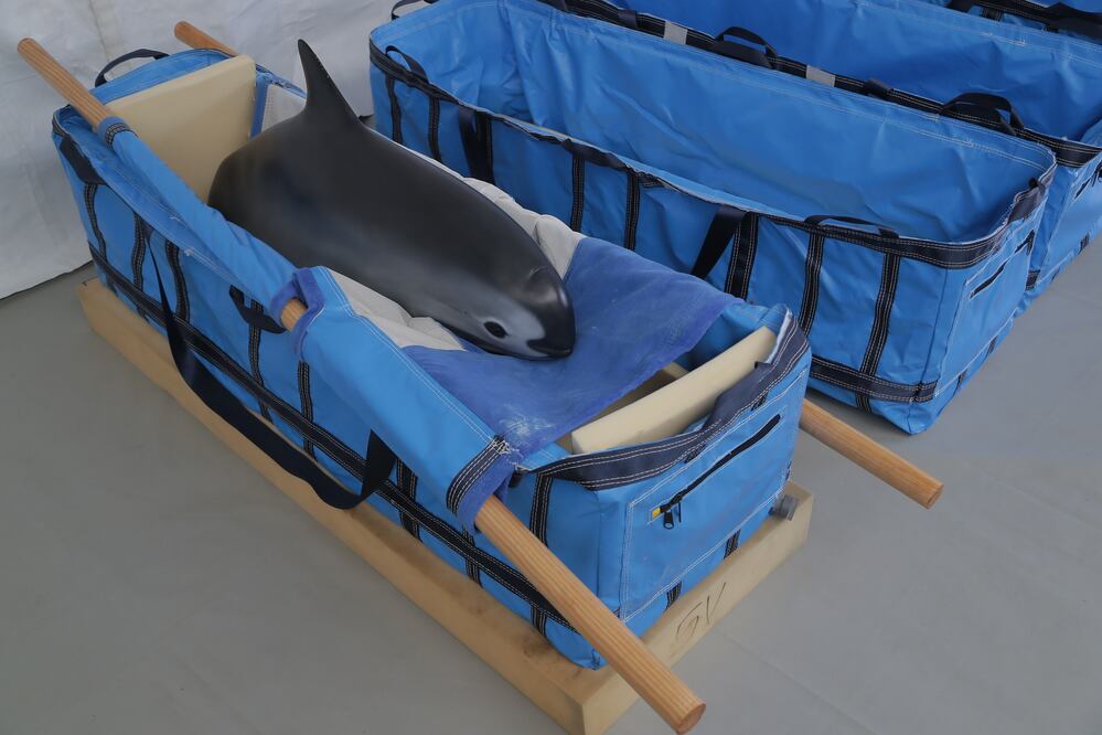 Foto: Archivo. El Universal