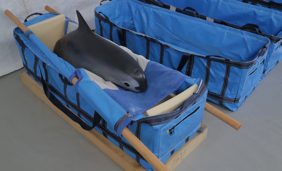 Foto: Archivo. El Universal