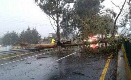 Caída de árboles provocó cierre de la México-Cuernavaca por dos horas