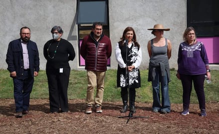 Perros del Refugio Franciscano están en buenas condiciones en la GAM, asegura Brugada; serán llevados a la Brigada de Vigilancia Animal