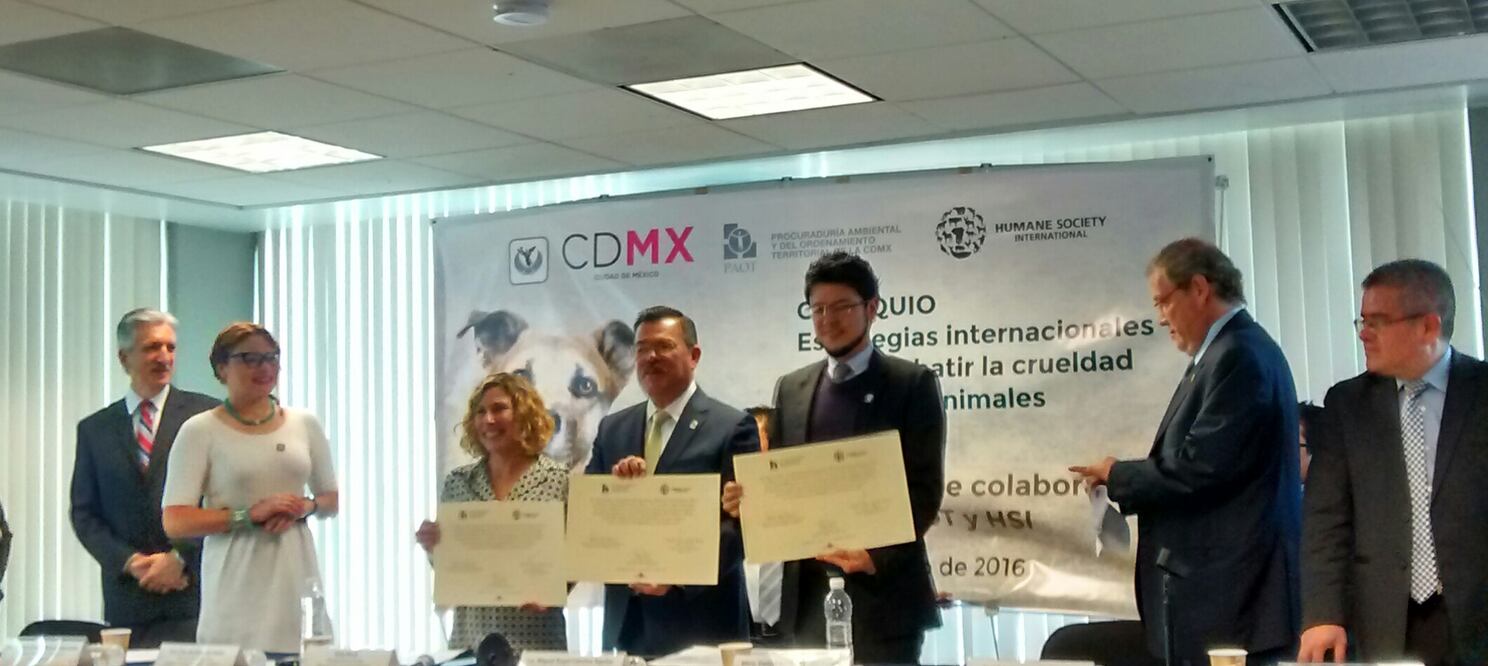 Gerardo Suárez / EL UNIVERSAL