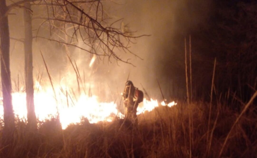 El titular de Protección Civil hizo un llamado a la población para la prevención de incendios forestales