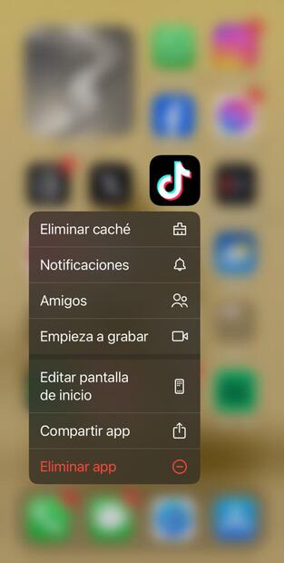 Foto: Especial Tiktok