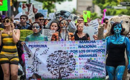 Marchan hacia el Zócalo por los derechos de los animales