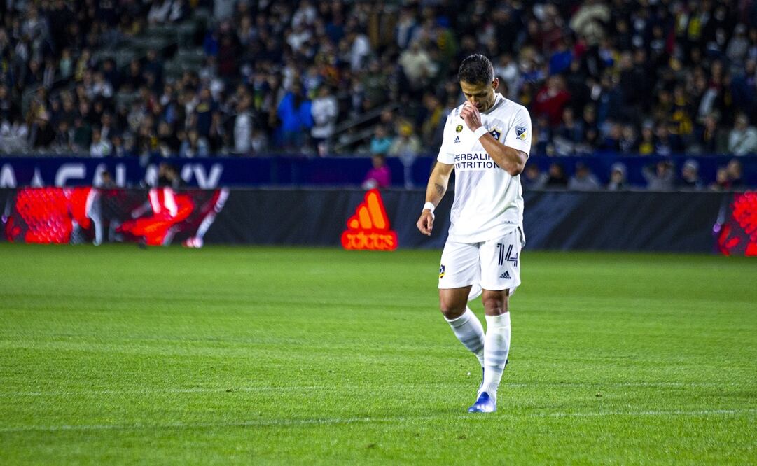 Chicharito, una especie en extinción