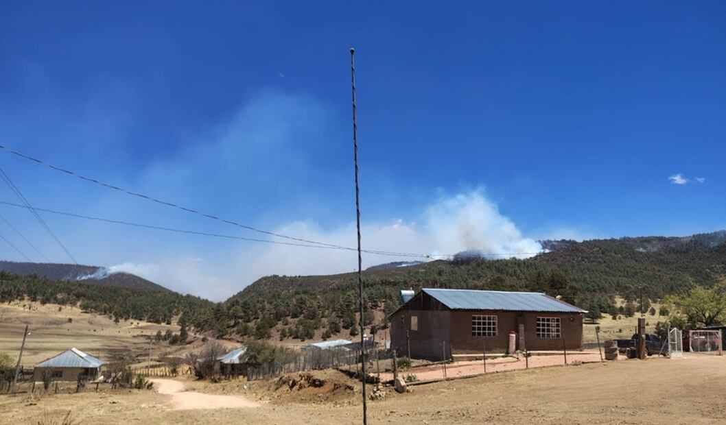 Incendios forestales continúan afectando a Chihuahua; solicitan aplicar el plan DN- III. Foto: especial