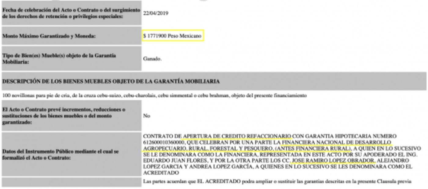 Hermano de AMLO, beneficiado con crédito millonario del gobierno