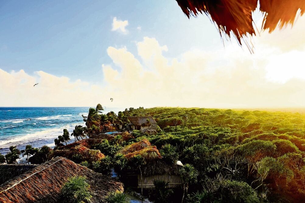 Daños. Cinco desarrollos inmobiliarios en la zona hotelera de Tulum, Quintana Roo, afectaron de forma negativa el ecosistema.