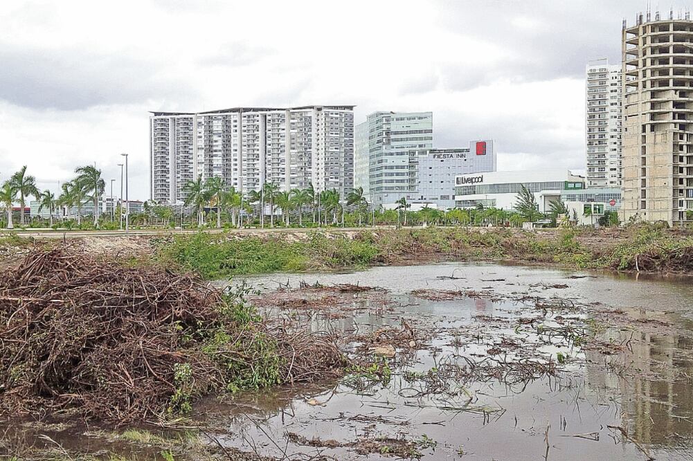 Zonas de manglar fueron destruidas en Cancún con el fin de iniciar la construcción del proyecto turístico Malecón Tajamar (ARCHIVO EL UNIVERSAL)