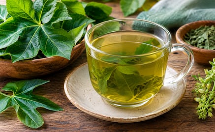 Para qué sirve tomar infusión de chaya