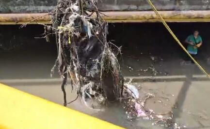 Reportan 70 por ciento de avance en limpieza de Río Hondo; OAPAS retira más de 60 toneladas de basura