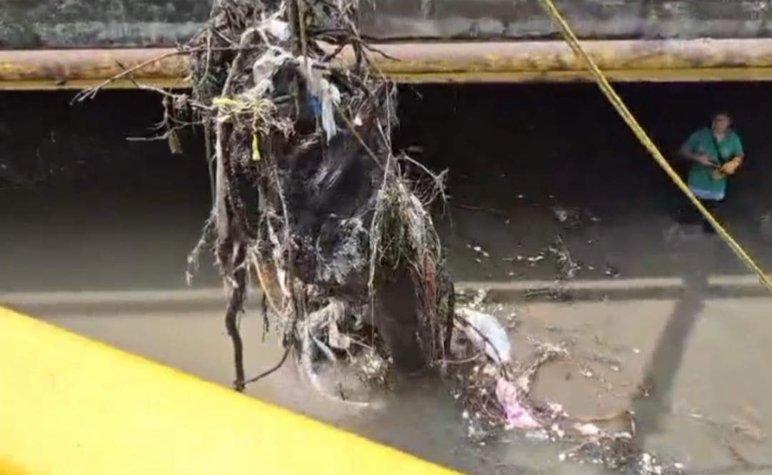 Reportan 70 por ciento de avance en limpieza de Río Hondo. Foto: Captura de pantalla