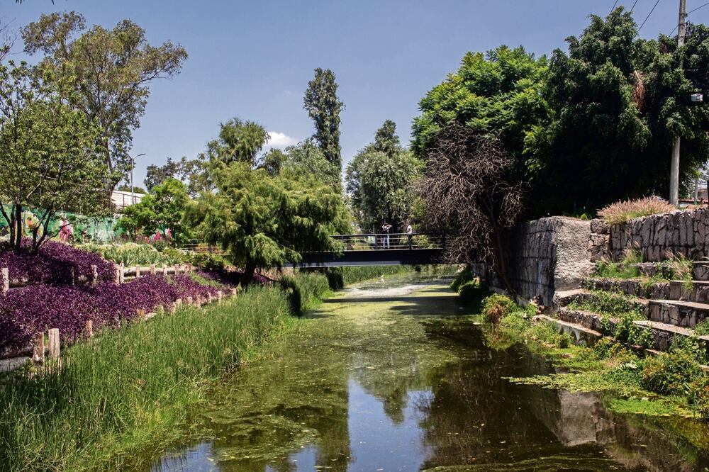 Lo que antes era un canal de agua estancada, sin vegetación, con basura acumulada y cascajo, ahora es un parque lleno de gran variedad de plantas, animales y aves. Foto: Gabriel Pano / El Universal