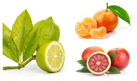 Los cítricos son tus aliados de invierno 