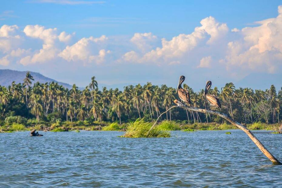 Foto: Fideicomiso para la Promoción Turística de Acapulco
