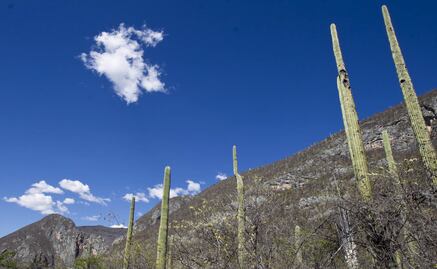 Conanp: Mexico strips its natural protected areas of 75% of their budget