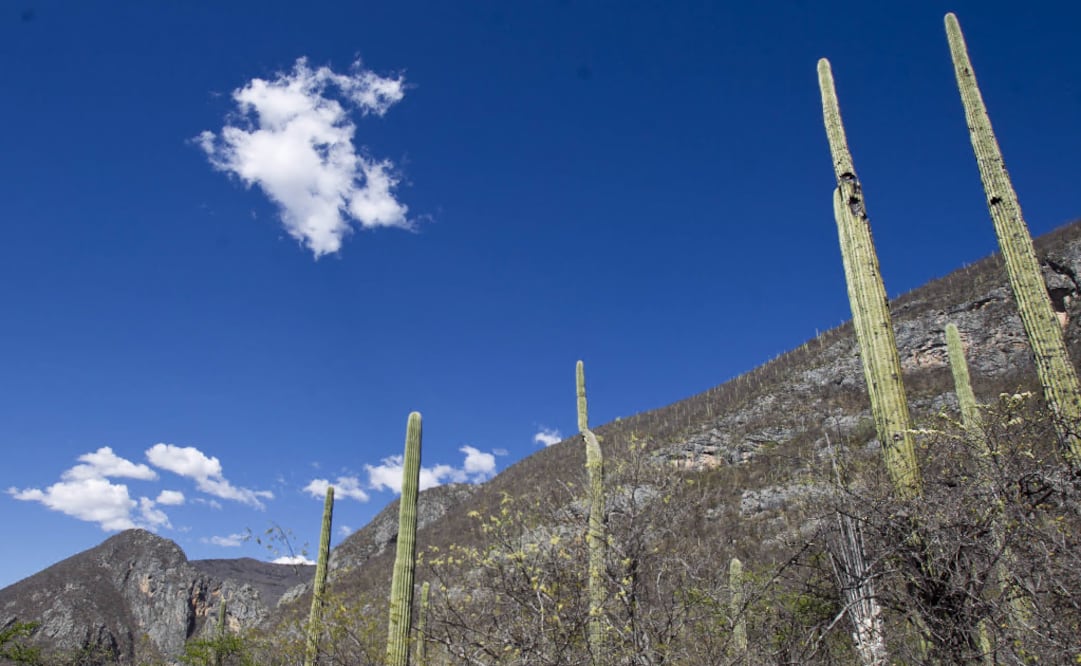 The Budget cut became official on April 23 - Photo: Mario Arturo Mertínez/EL UNIVERSAL