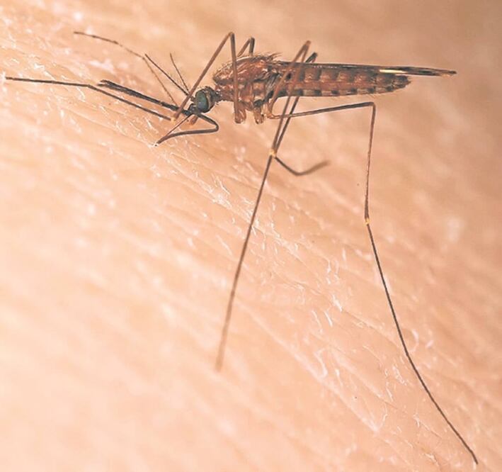 Foto/Archivo El Universal