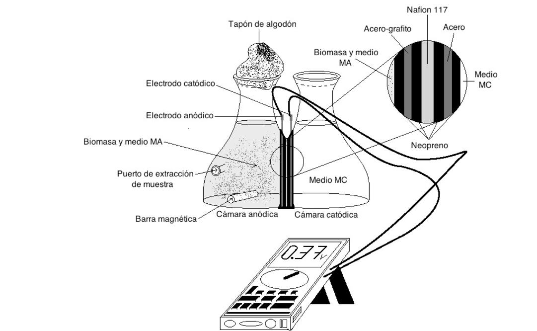 La energía obtenida se almacena en una batería recargable y puede utilizarse para alimentar dispositivos móviles. (FOTO: Cortesía Conacyt)