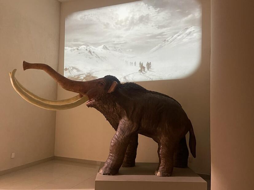 FOTO: Especial/ EL UNIVERSAL/