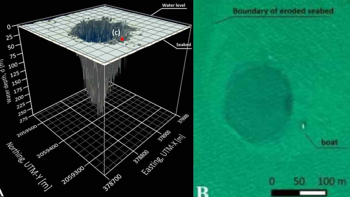 Foto: Conacyt / Ecosur