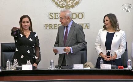 Senado ratifica a expriista María Elena Orantes como cónsul en Houston