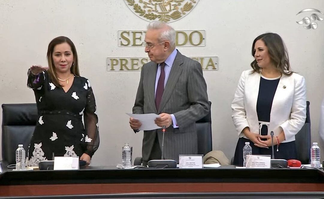 Comparece María Elena Orantes López ante Comisiones Unidas de Relaciones Exteriores. Foto: Twitter @CGBSenado