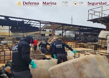 Aseguran narcolaboratorio en Nuevo León; encuentran precursores químicos en cateo