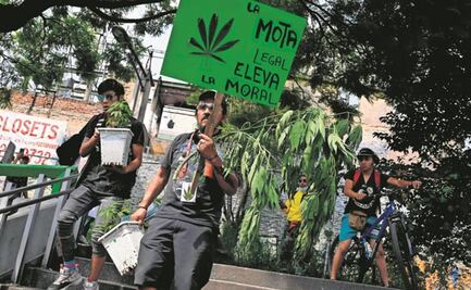 Ley de Cannabis se debatirá en febrero: Miguel Ángel Mancera