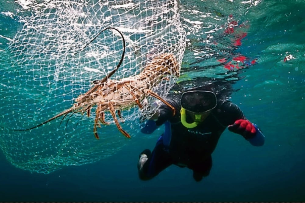 La temporada anterior del programa presentó diversos casos, como el de los pescadores de Punta Allen, en la reserva de Sian Ka'an en Yucatán (CORTESÍA CONABIO)