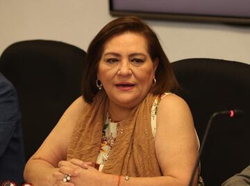 Taddei afirma que estructura del INE es sólida, pese a falta de nombramientos