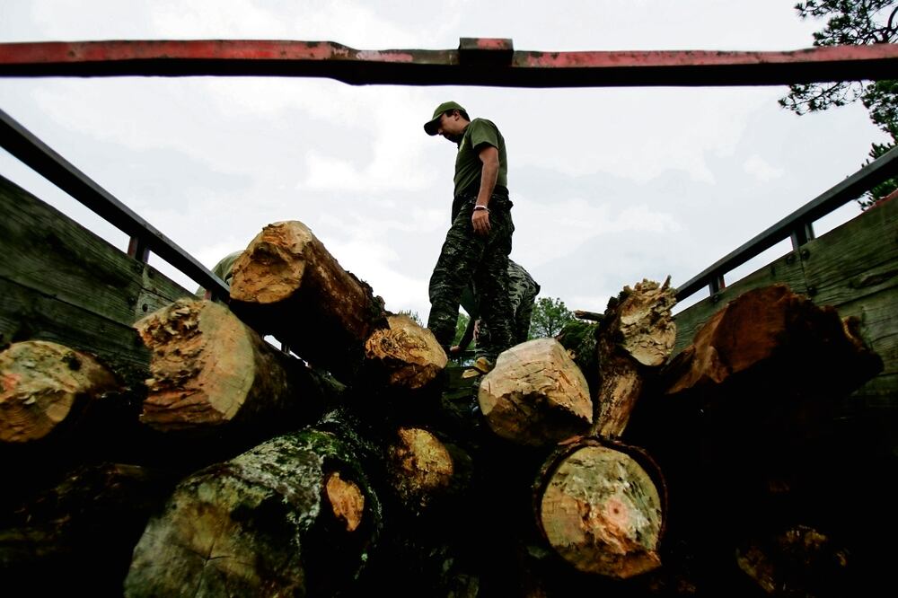 Realizan operativos de cateos en el poblado de Tres Marías y la cabecera municipal de Huitzilac, en busca de aserradores clandestinos. Foto: Especial