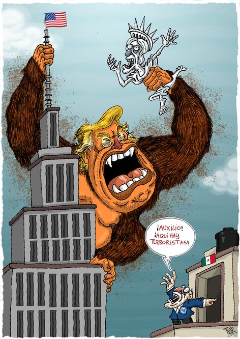 Cartón de FER