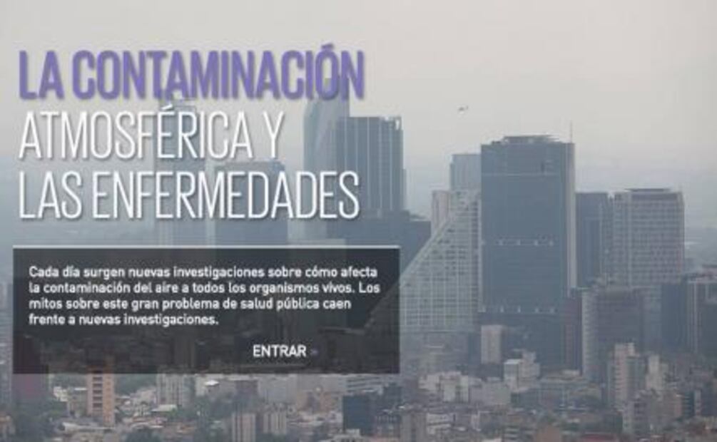 Conciencia. Manual para sobrevivir a las contingencias