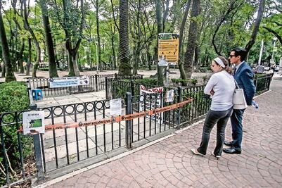 Deslindan a mujer por muerte de perros