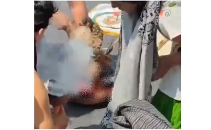 Sacaron de contexto el ritual con gallina en el Senado; “arrancaron un pedazo de cultura”: experto