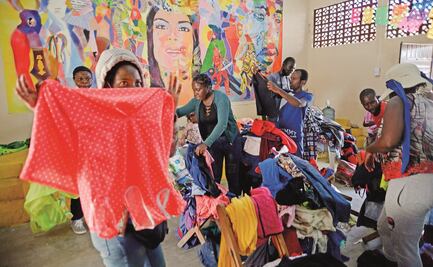 Migración hormiga se abre paso hacia Veracruz