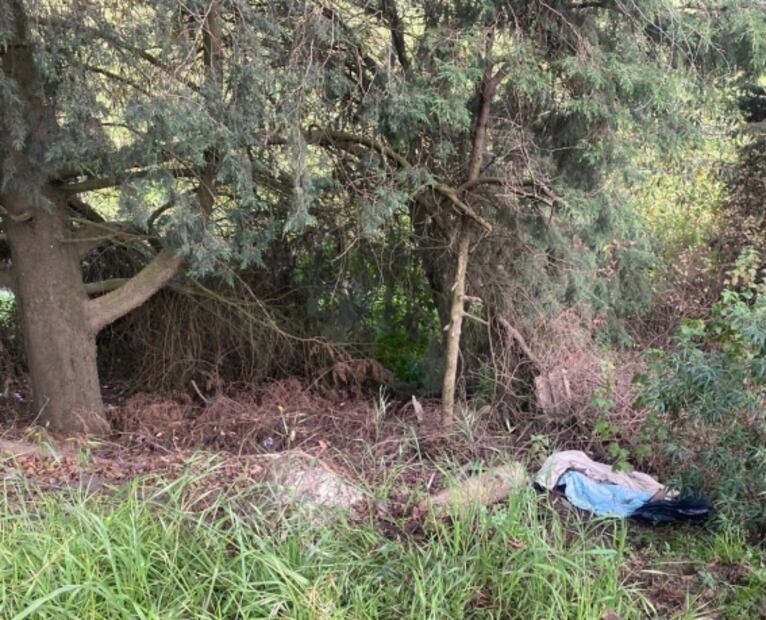 Cuerpo hallado en la México-Cuernavaca pertenece a la profesora Mónica Citlalli Díaz: FGJ Edomex