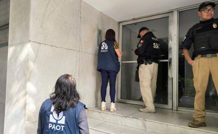 PAOT atiende denuncia por maltrato animal en Polanco; el caso se hizo viral en redes sociales