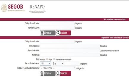 Admiten error al imprimir CURP; se arreglaría la siguiente semana