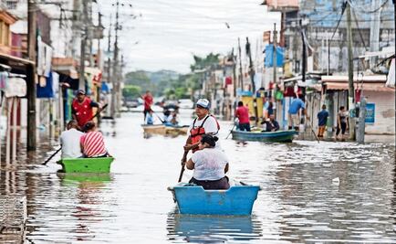 The Government's incompetence