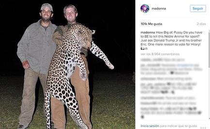 Madonna se lanza contra los hijos de Donald Trump