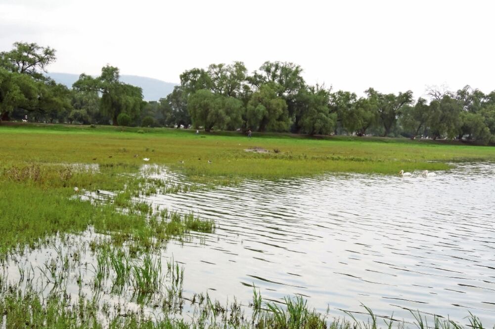 Los inconformes aseguran que los particulares obtuvieron los permisos con anteriores autoridades municipales; la actual administración rechaza haber autorizado la tala de árboles para la obra. (JUAN MANUEL BARRERA. EL UNIVER)