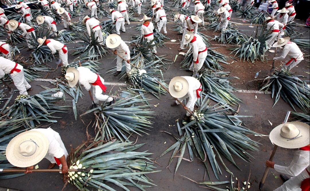 The JB Group and the Ministry of Tourism have decided to present the book called “Tequila Inteligente, Pueblo Mágico” (Smart Tequila, Magic Town) - Photo: Ulises Ruiz Basurto/EFE