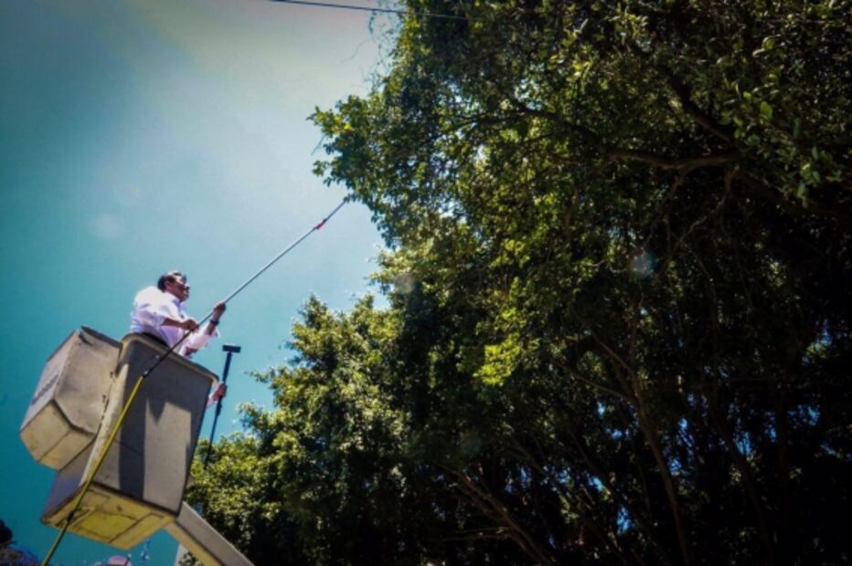 Herbicidas favorecen a bacterias resistentes a antibióticos: estudio