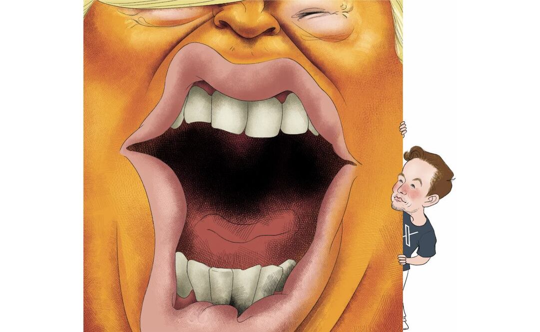 Ilustración: Ani Cortés (13/01/2025)